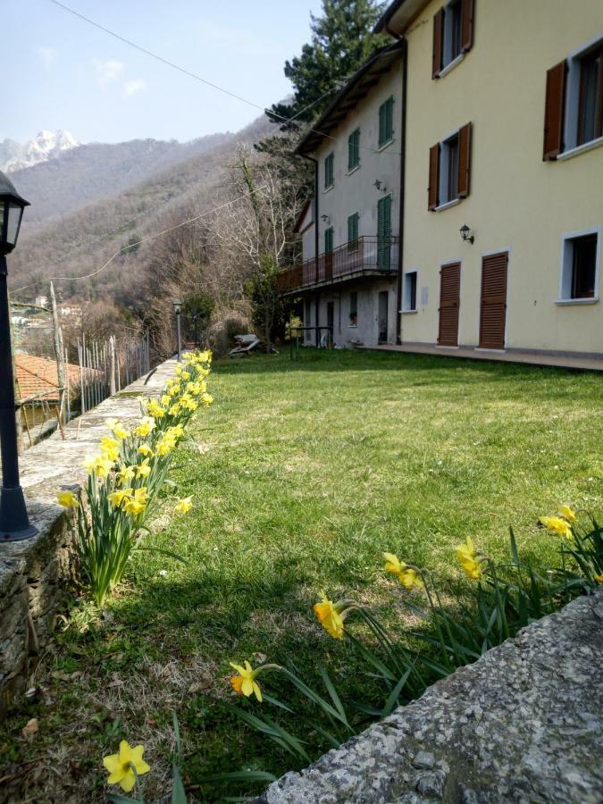 Monti Mare Villa Seravezza Exteriör bild